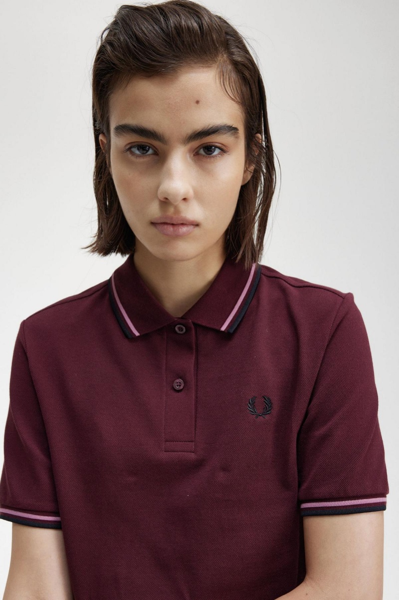 Oxblood / Dusty Rose Pink / Black Fred Perry G3600 Women's Polo Shirts | SGNEJ21850