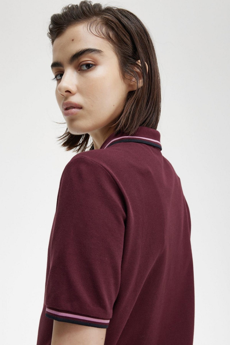 Oxblood / Dusty Rose Pink / Black Fred Perry G3600 Women's Polo Shirts | SGNEJ21850